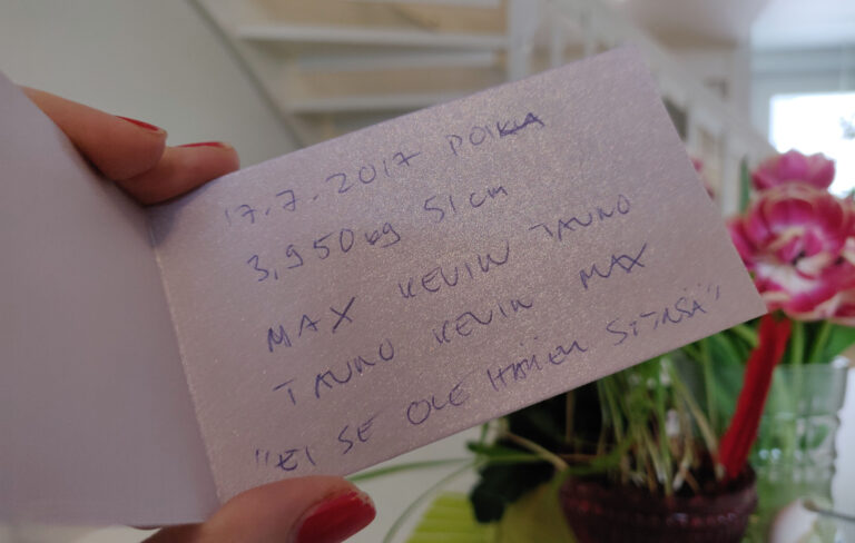 Mitä Kirjoittaa Baby Shower -korttiin?